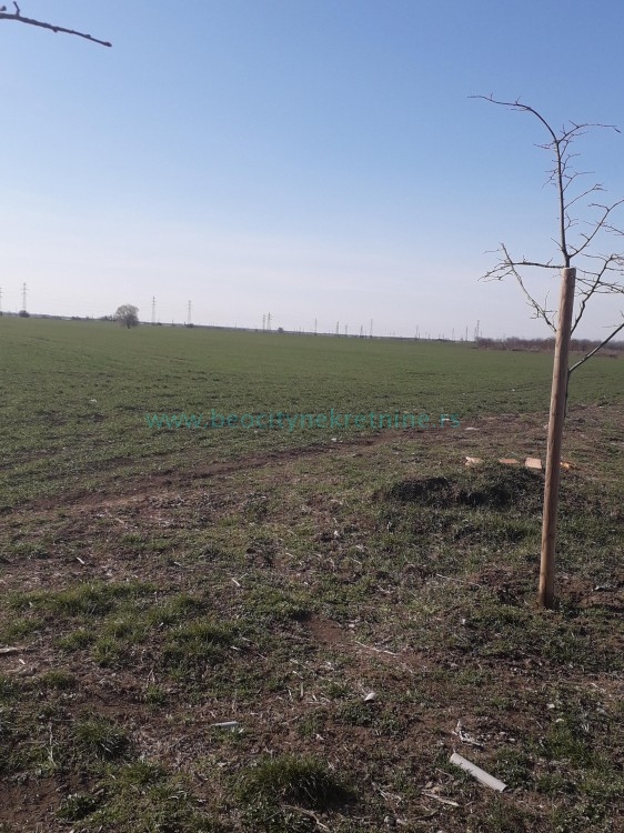 Plac, Plavi horizonti, Jovana Boškovića ID: 39935 2