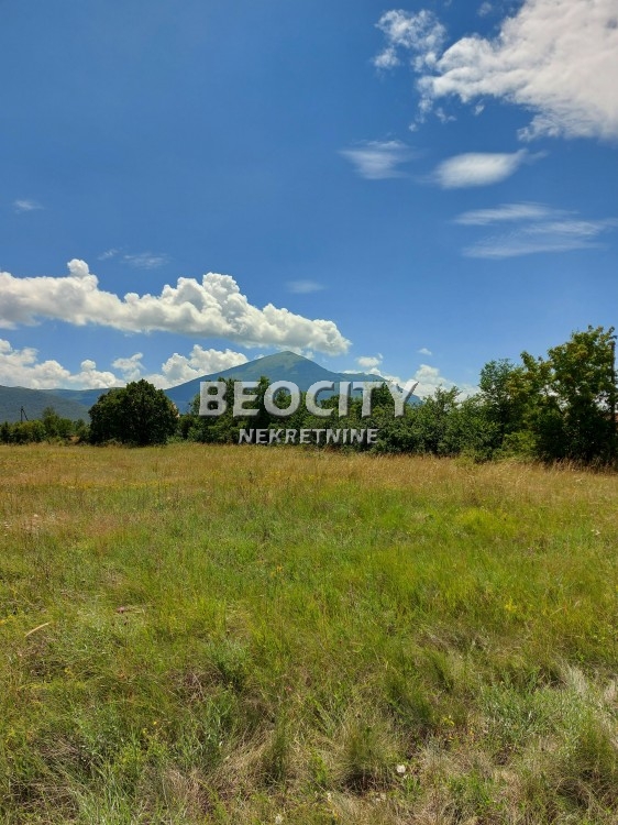 Plac, Rtanj ID: 87923 2