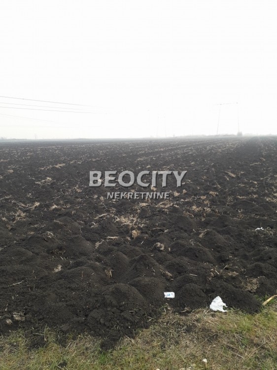 Plac, Šimanovci ID: 48008 6