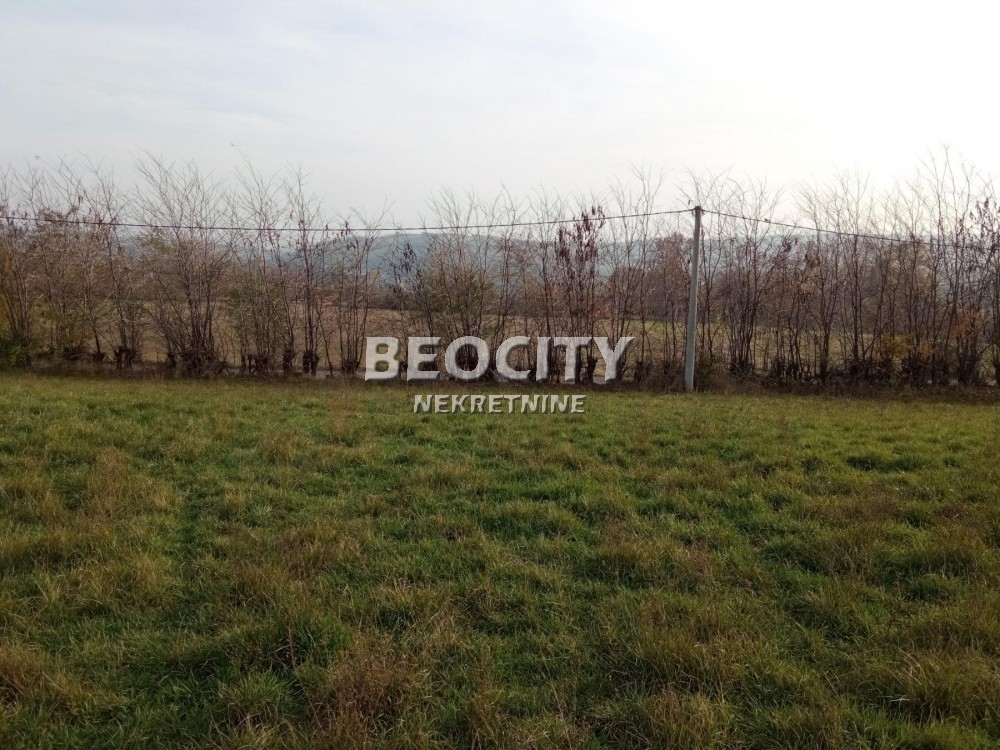 Plac, Sopot, Dušana Puhača ID: 92942 2