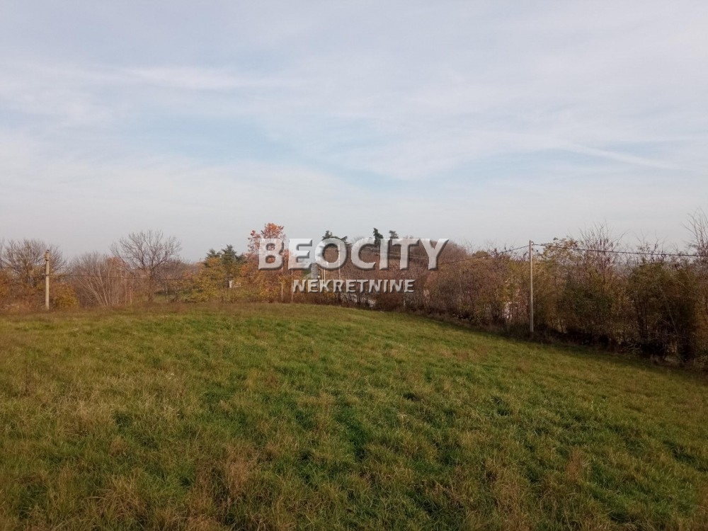 Plac, Sopot, Dušana Puhača ID: 92942 4