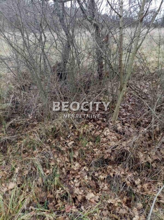 Plac, Sopot, Njegoševa ID: 93138 9