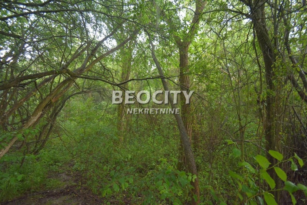 Plac, Sopot, Rada Jovanovića ID: 98638 13