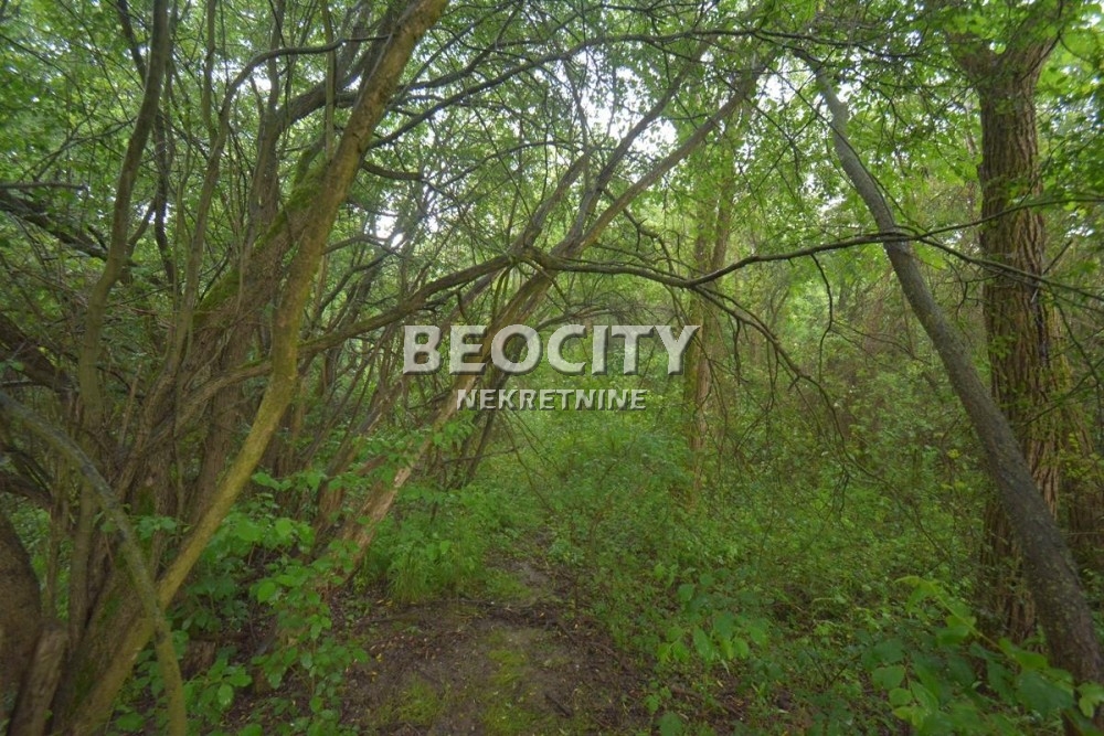 Plac, Sopot, Rada Jovanovića ID: 98638 14