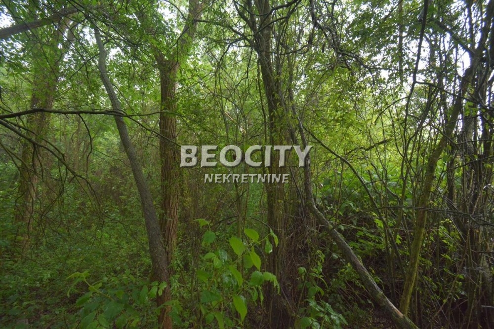 Plac, Sopot, Rada Jovanovića ID: 98638 15