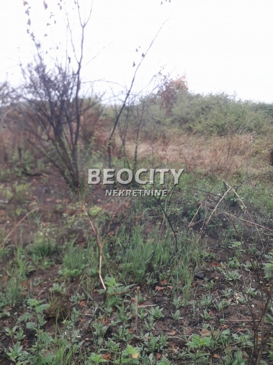 Plac, Sremčica, Moštanička ID: 72768 3