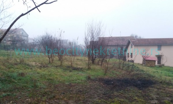 Plac, Sremčica, Seoskih zadruga ID: 29206 5