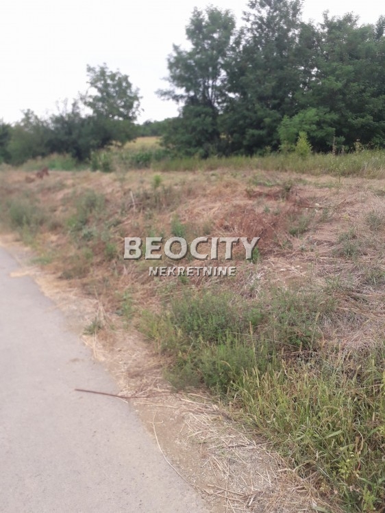 Plac, Velika Moštanica, Živojina Tabakovića ID: 72661 2