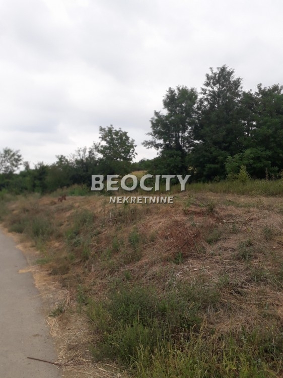 Plac, Velika Moštanica, Živojina Tabakovića ID: 72661 3