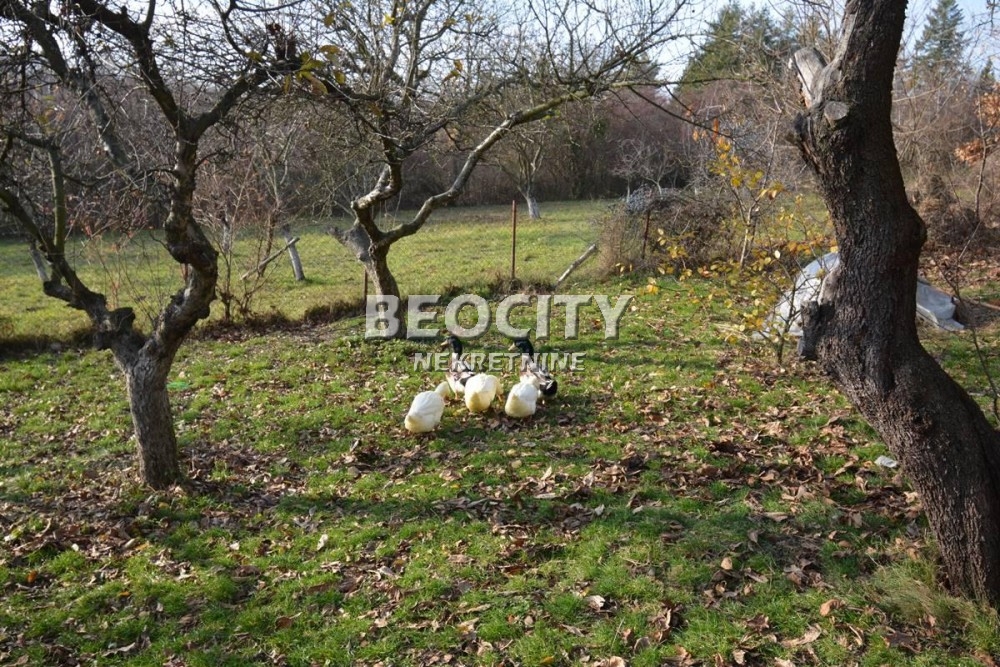 Trosobna kuća, 232 m2, Sopot ID: 75330 14