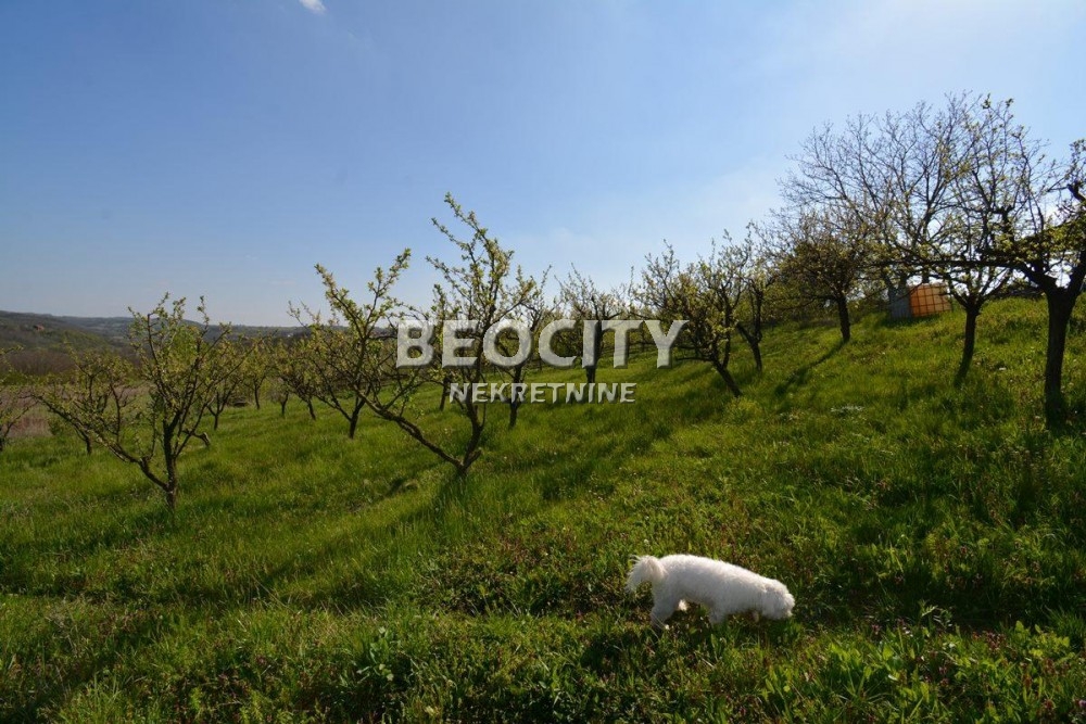 Lokal, 180 m2, Grocka, Avalska ID: 69700 3