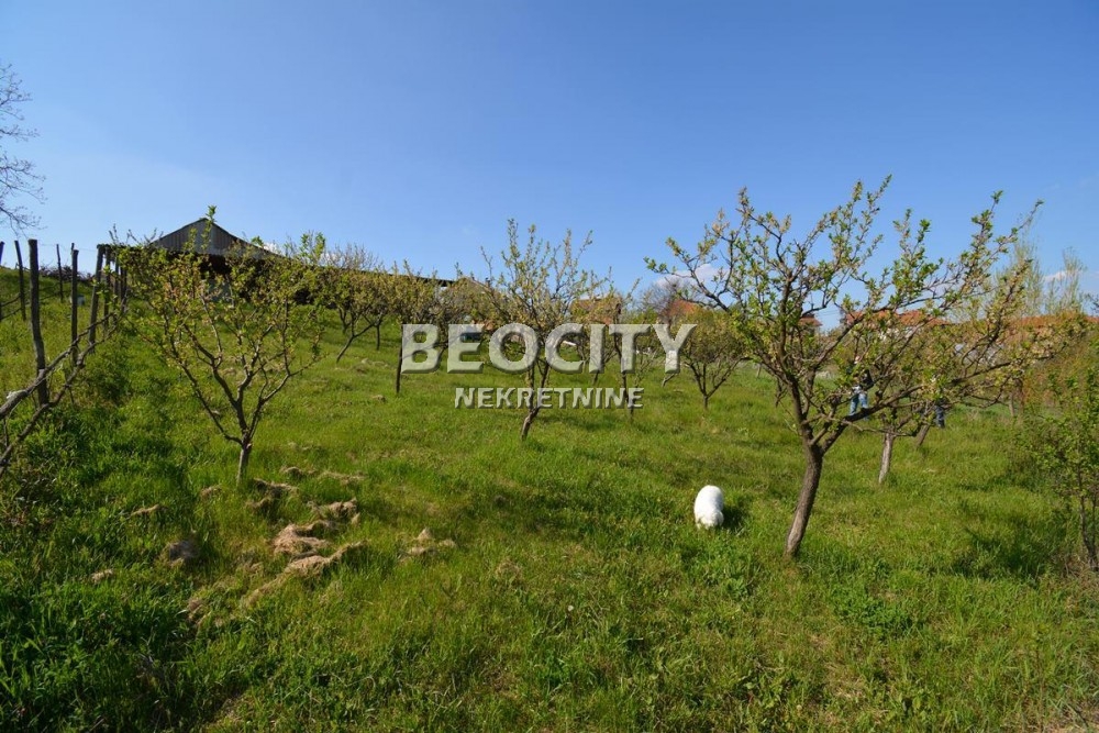 Lokal, 180 m2, Grocka, Avalska ID: 69700 4