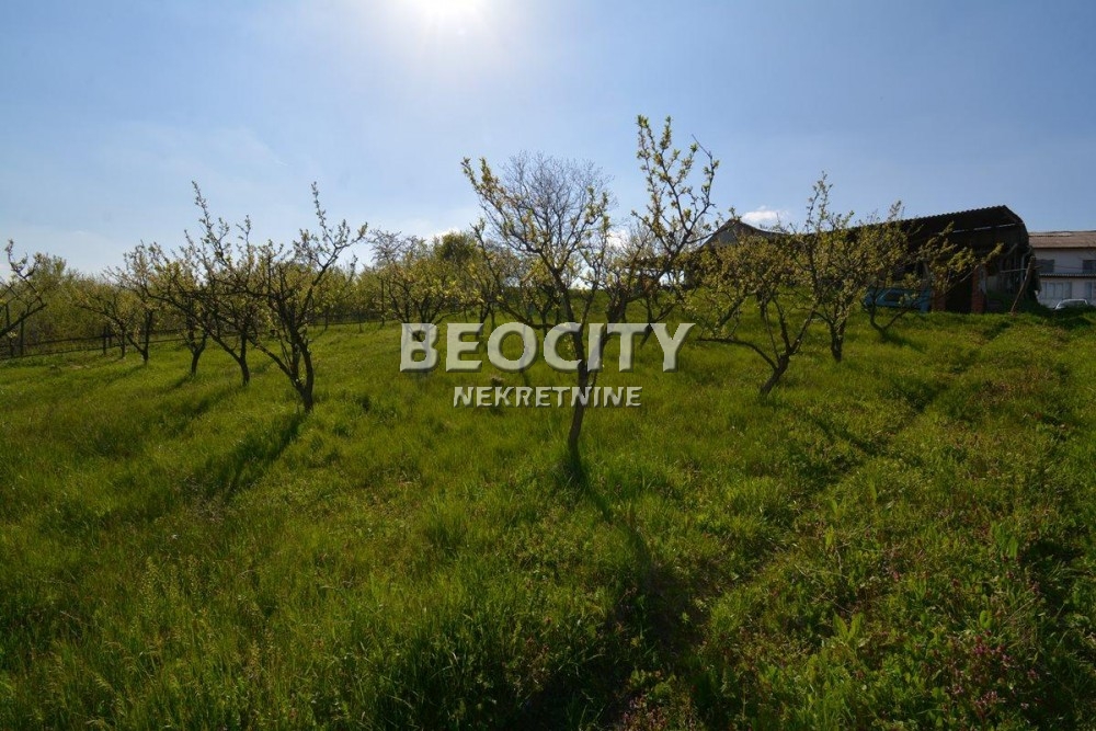 Lokal, 180 m2, Grocka, Avalska ID: 69700 1