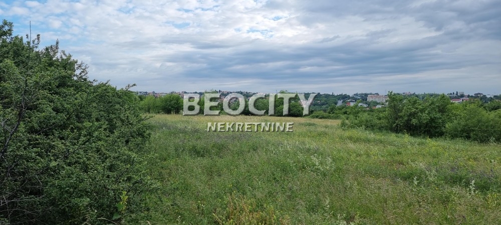 Plac, Centar, Drenova Međa ID: 71155 5