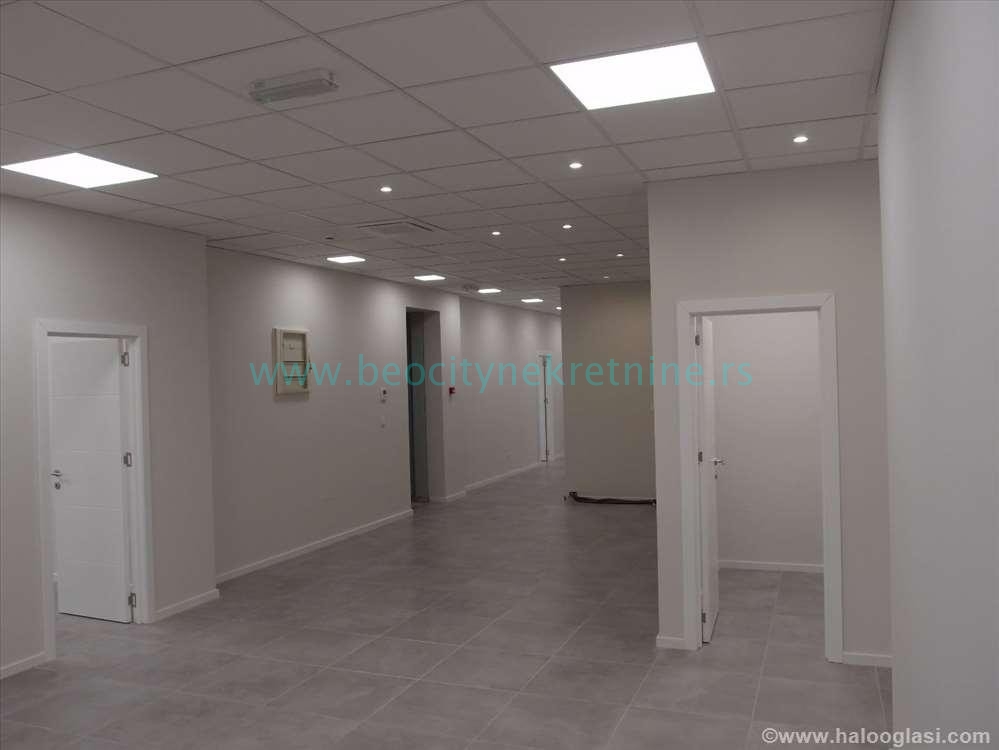 Lokal, 240 m2, Tošin bunar, Tošin bunar ID: 24608 3