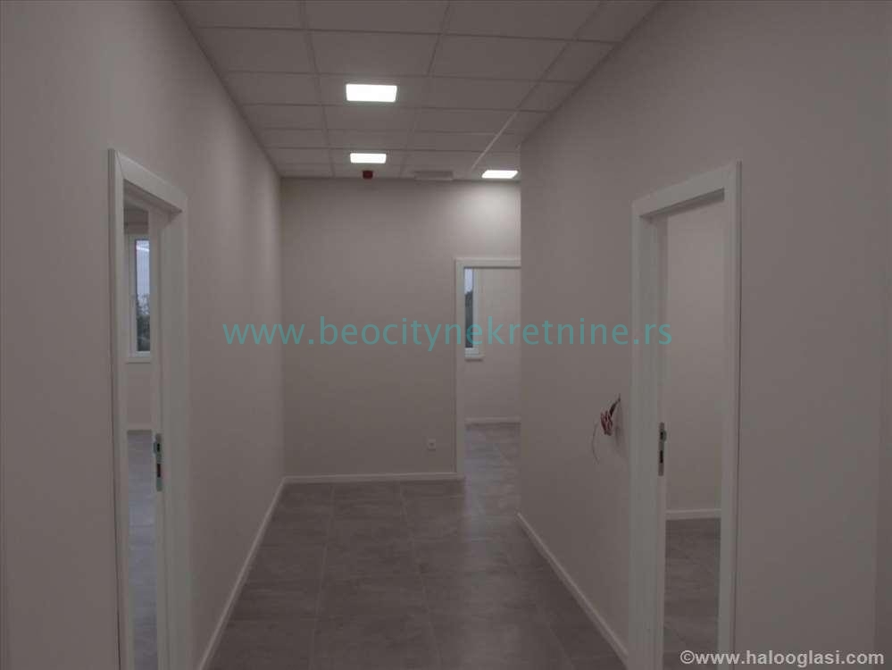 Lokal, 240 m2, Tošin bunar, Tošin bunar ID: 24608 8