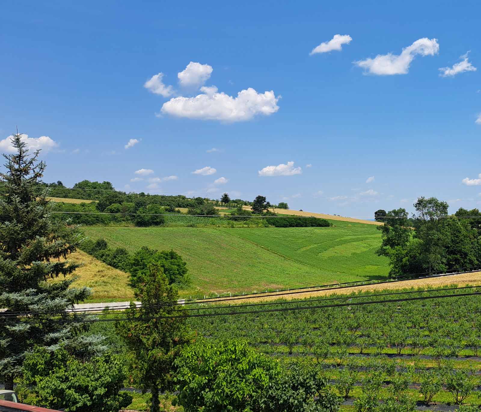 Prodajem 253ari obradive zemlje u blizini Smederevske Palanke 1