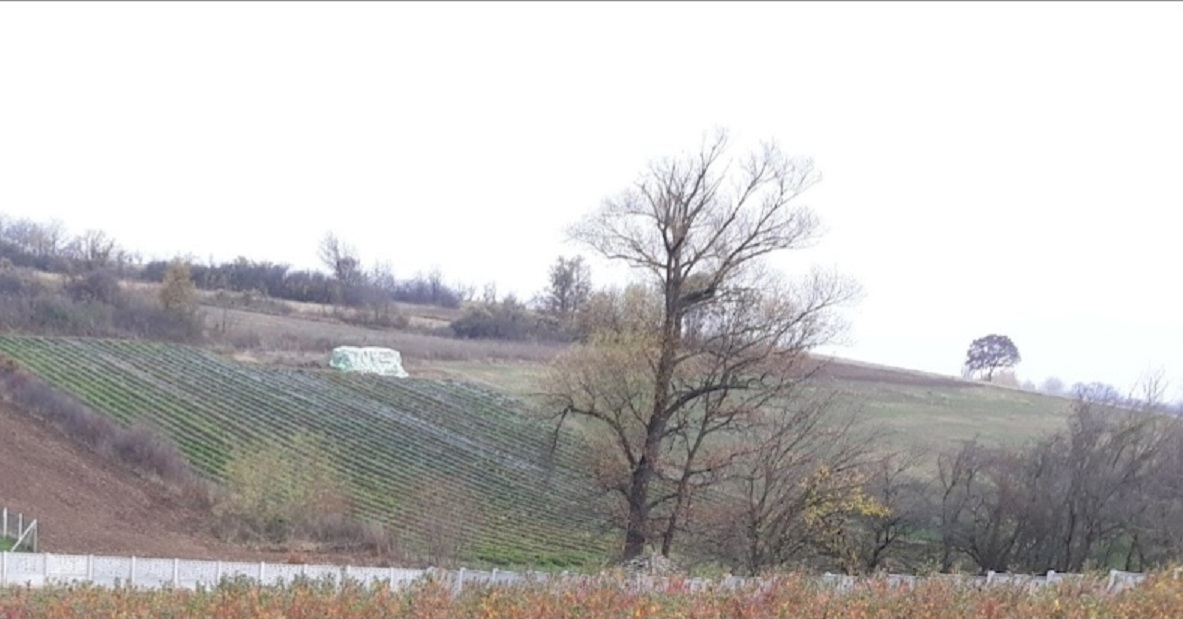 Prodajem 253ari obradive zemlje u blizini Smederevske Palanke 3