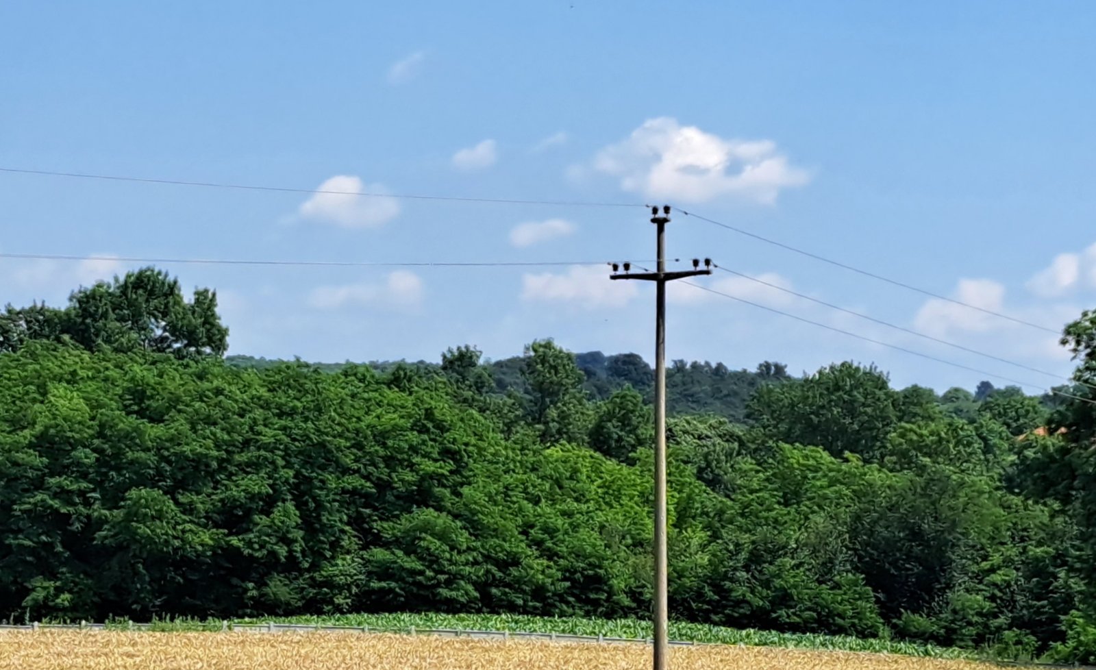 Prodajem 253ari obradive zemlje u blizini Smederevske Palanke 4