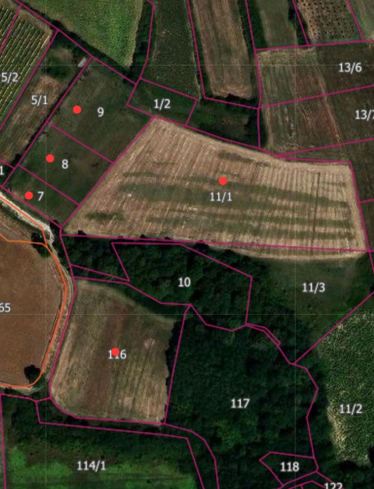 Prodajem 253ari obradive zemlje u blizini Smederevske Palanke 5