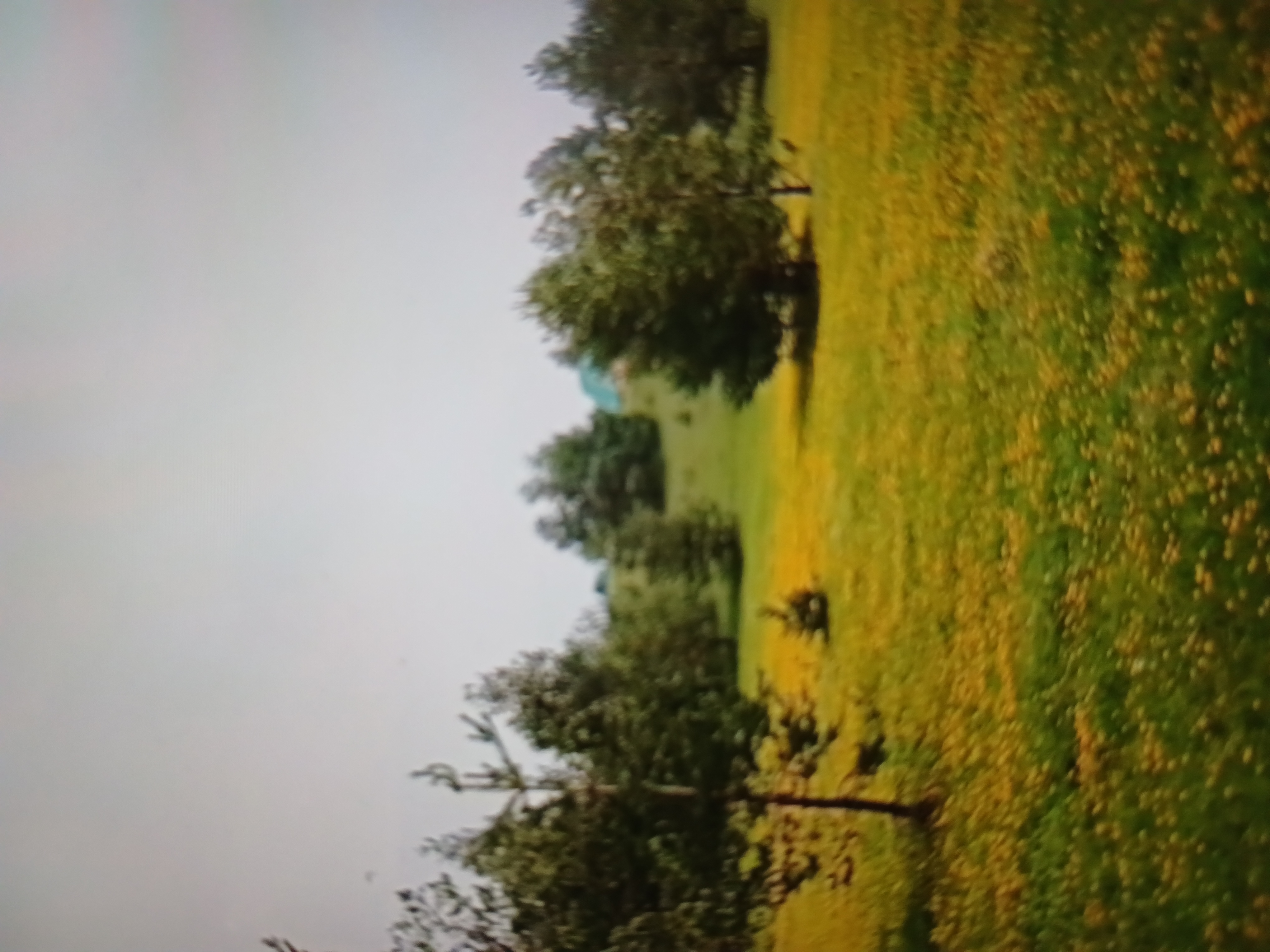 Prelep Plac na prodaju Divcibare 1