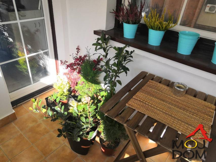 Stan,NOVI SAD,CENTAR,kv: 64, € 226700, ID: 1026704 12