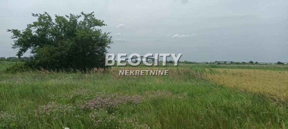 Plac, Makiš, Bore Stankovića ID: 99539 11