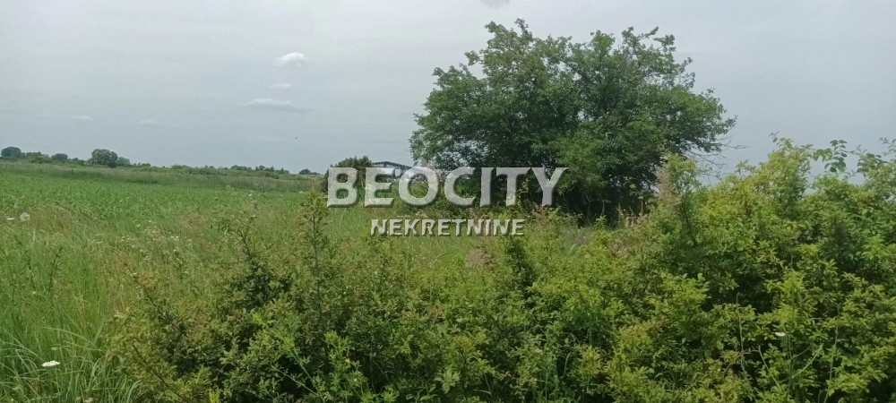 Plac, Makiš, Bore Stankovića ID: 99539 12