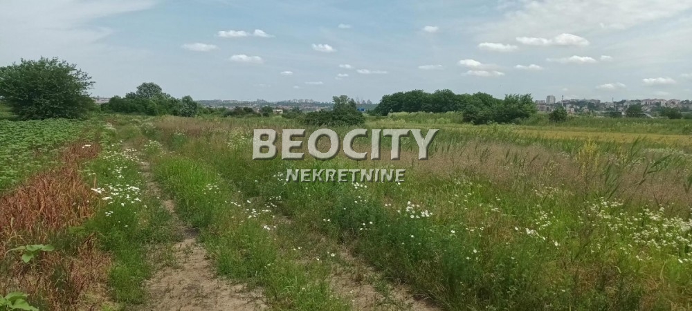 Plac, Makiš, Bore Stankovića ID: 99539 15