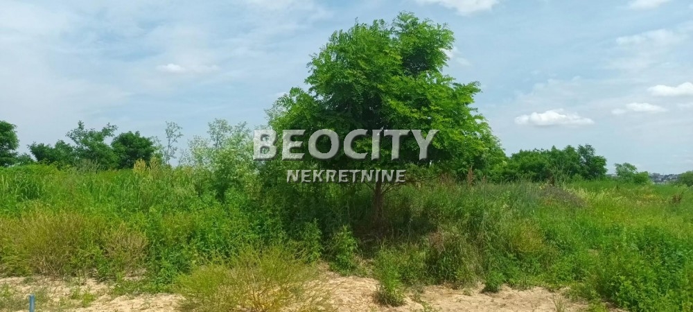 Plac, Makiš, Bore Stankovića ID: 99539 4