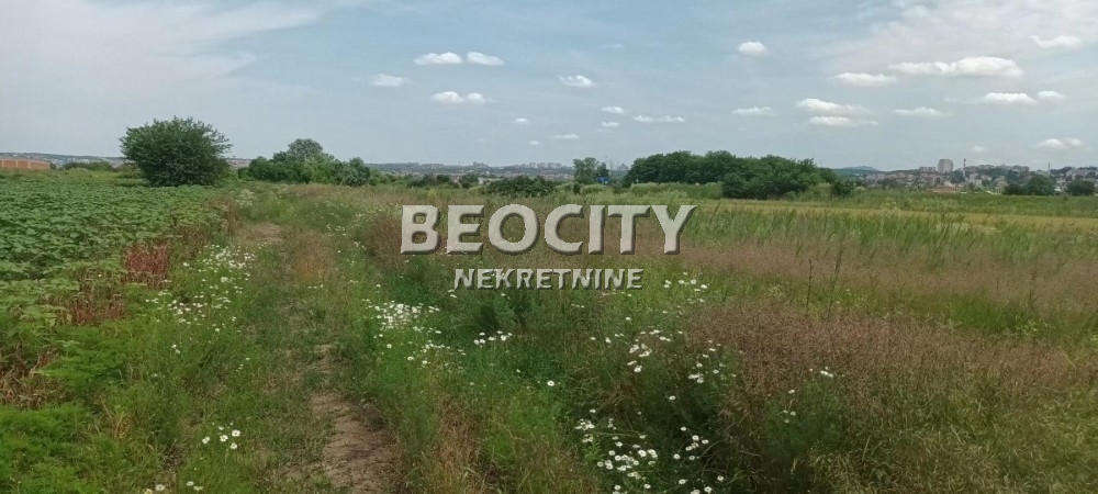 Plac, Makiš, Bore Stankovića ID: 99539 5