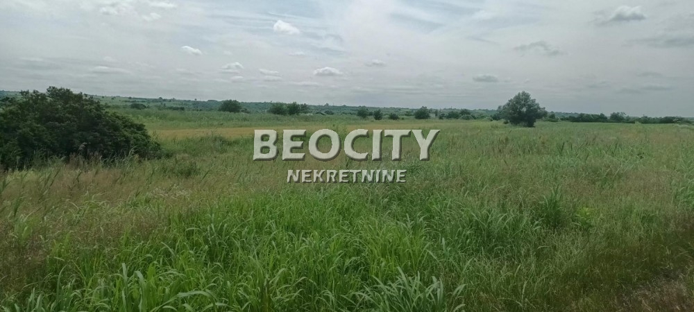 Plac, Makiš, Bore Stankovića ID: 99539 6