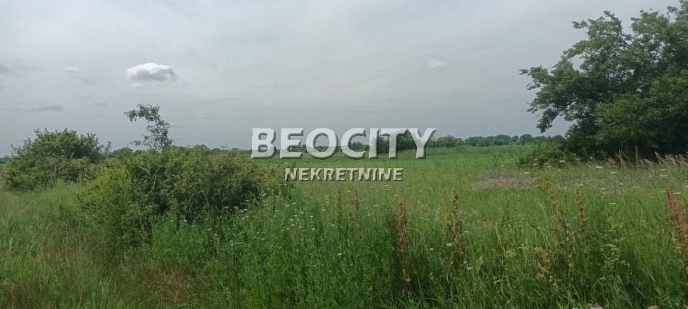 Plac, Makiš, Bore Stankovića ID: 99539 2