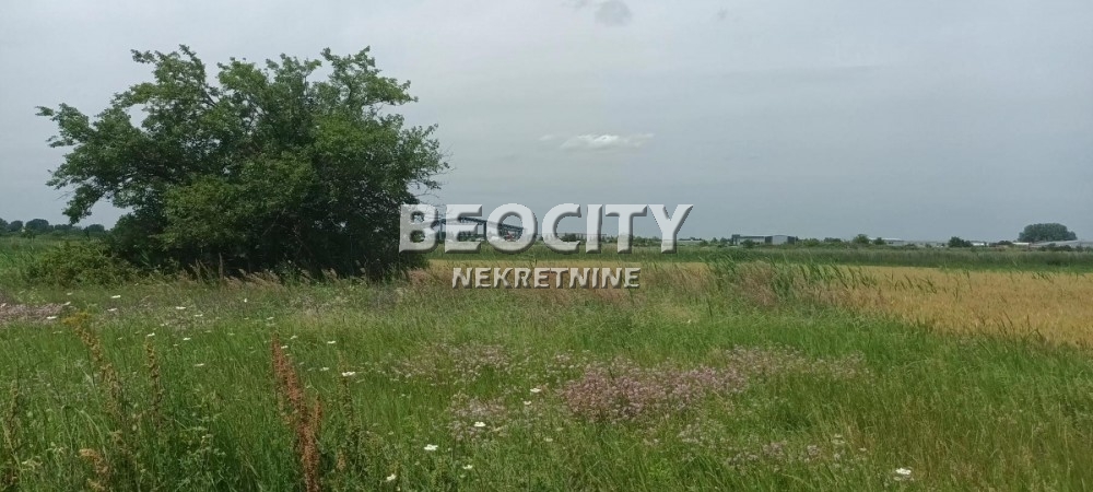 Plac, Makiš, Bore Stankovića ID: 99539 3