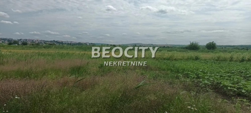 Plac, Makiš, Bore Stankovića ID: 99539 17