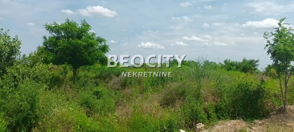 Plac, Makiš, Bore Stankovića ID: 99539 9