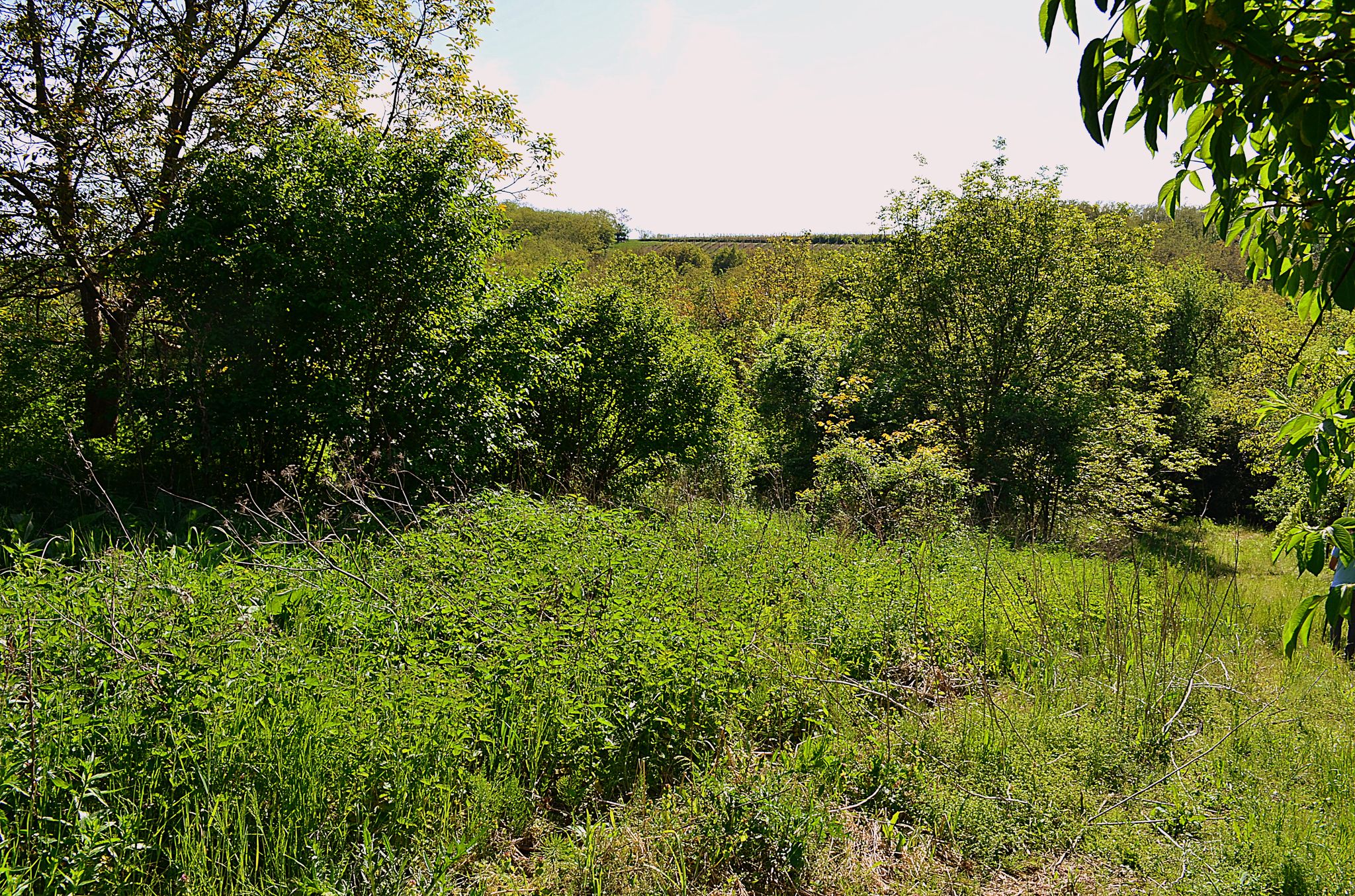 Plac kod Vrdnika uz izvor Murgin točak na prodaju  715m2 3