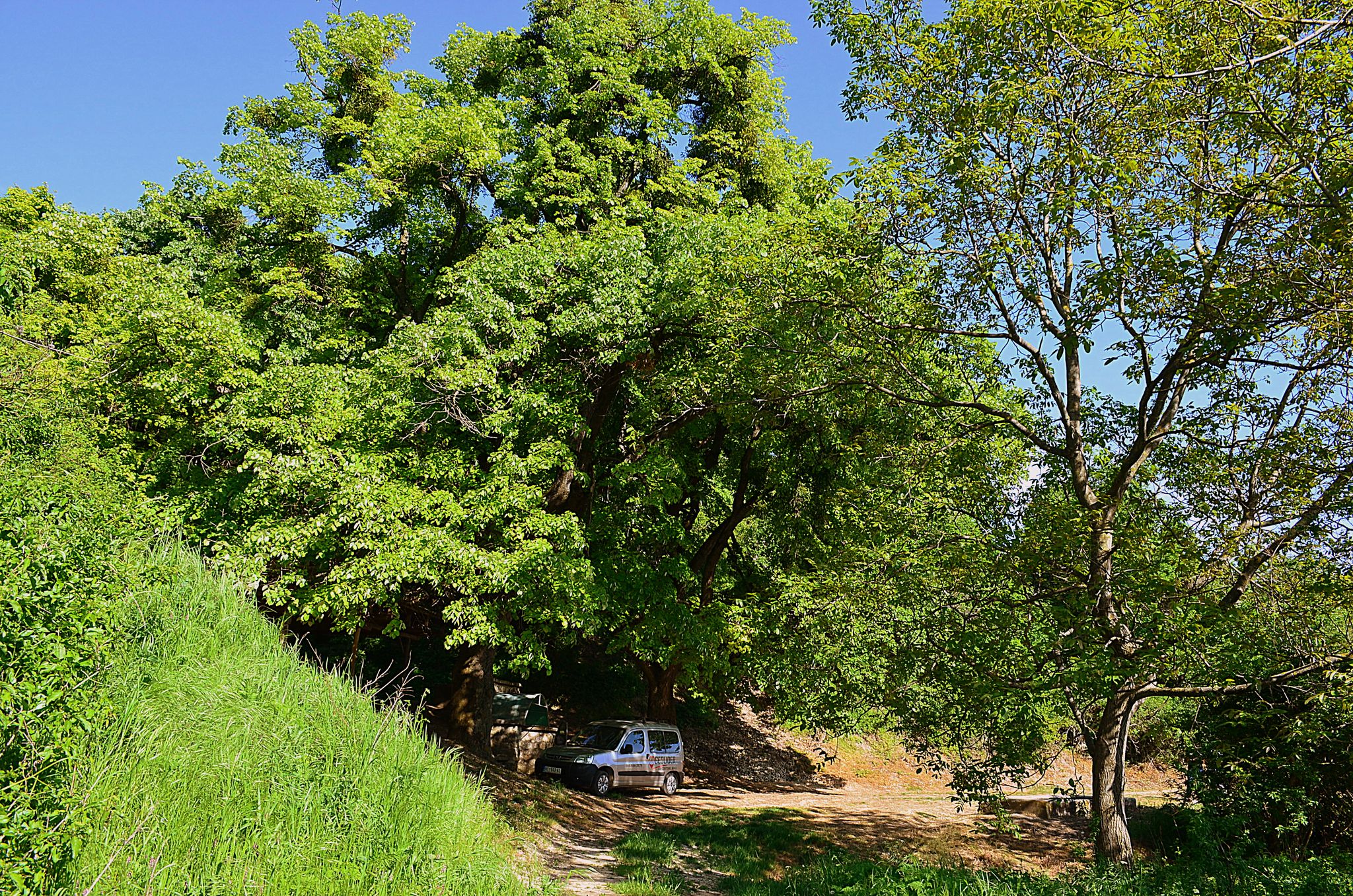 Plac kod Vrdnika uz izvor Murgin točak na prodaju  715m2 5