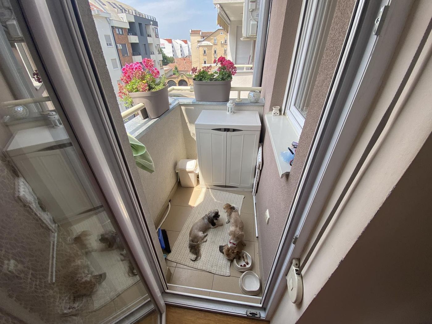 Novogradnja na Petrovaradinu   odličan stan bez ulaganja 5