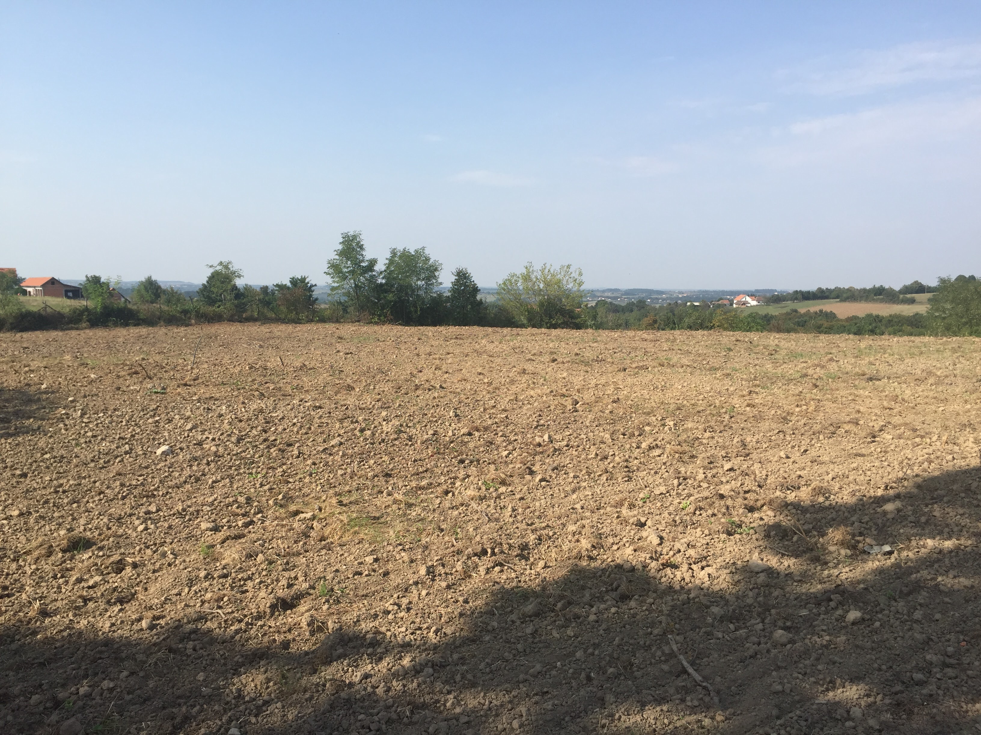 Kuća sa poljoprivrednim zemljištem 3