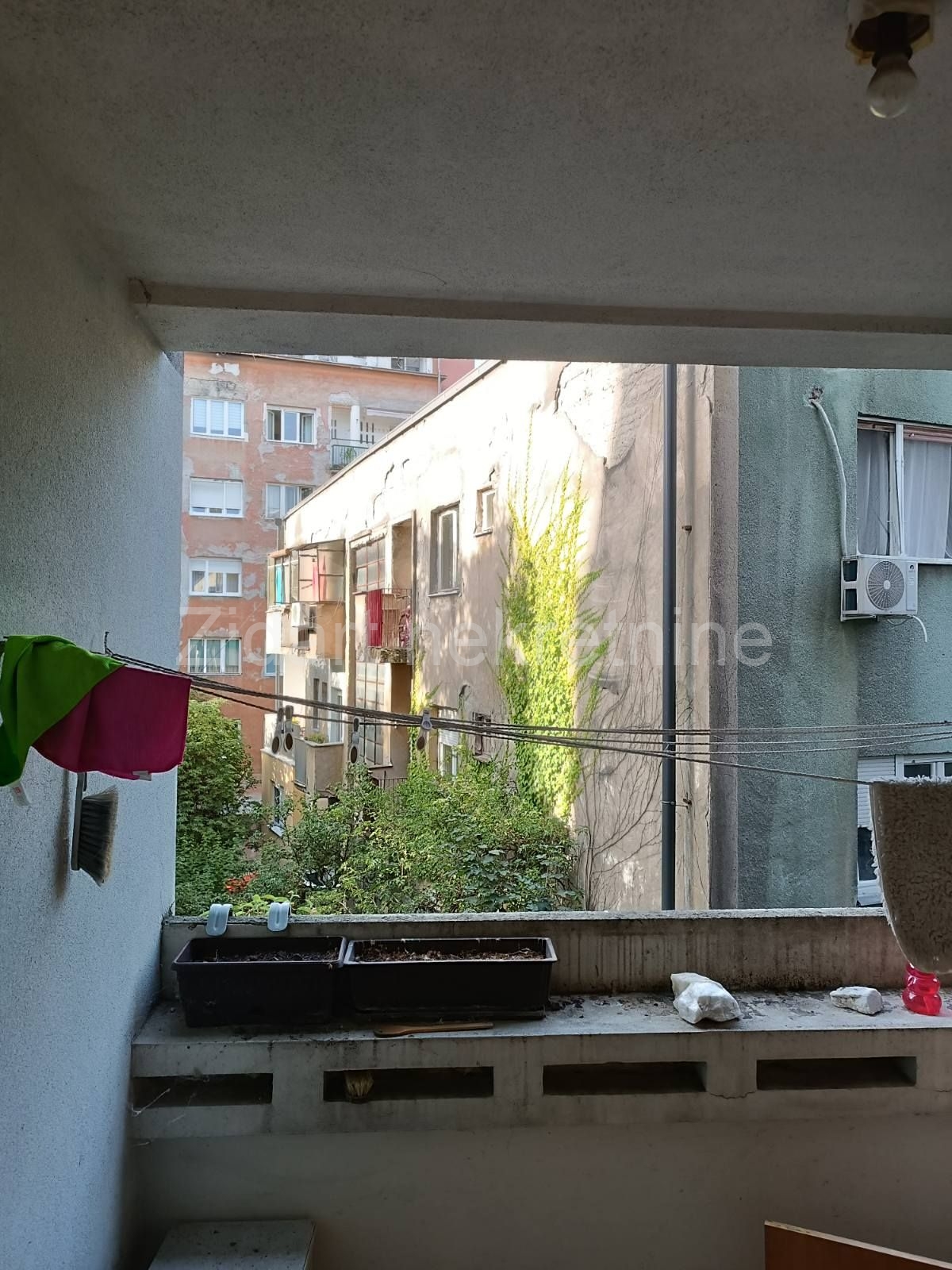 Profesorska kolonija kod Pionira, stan 5