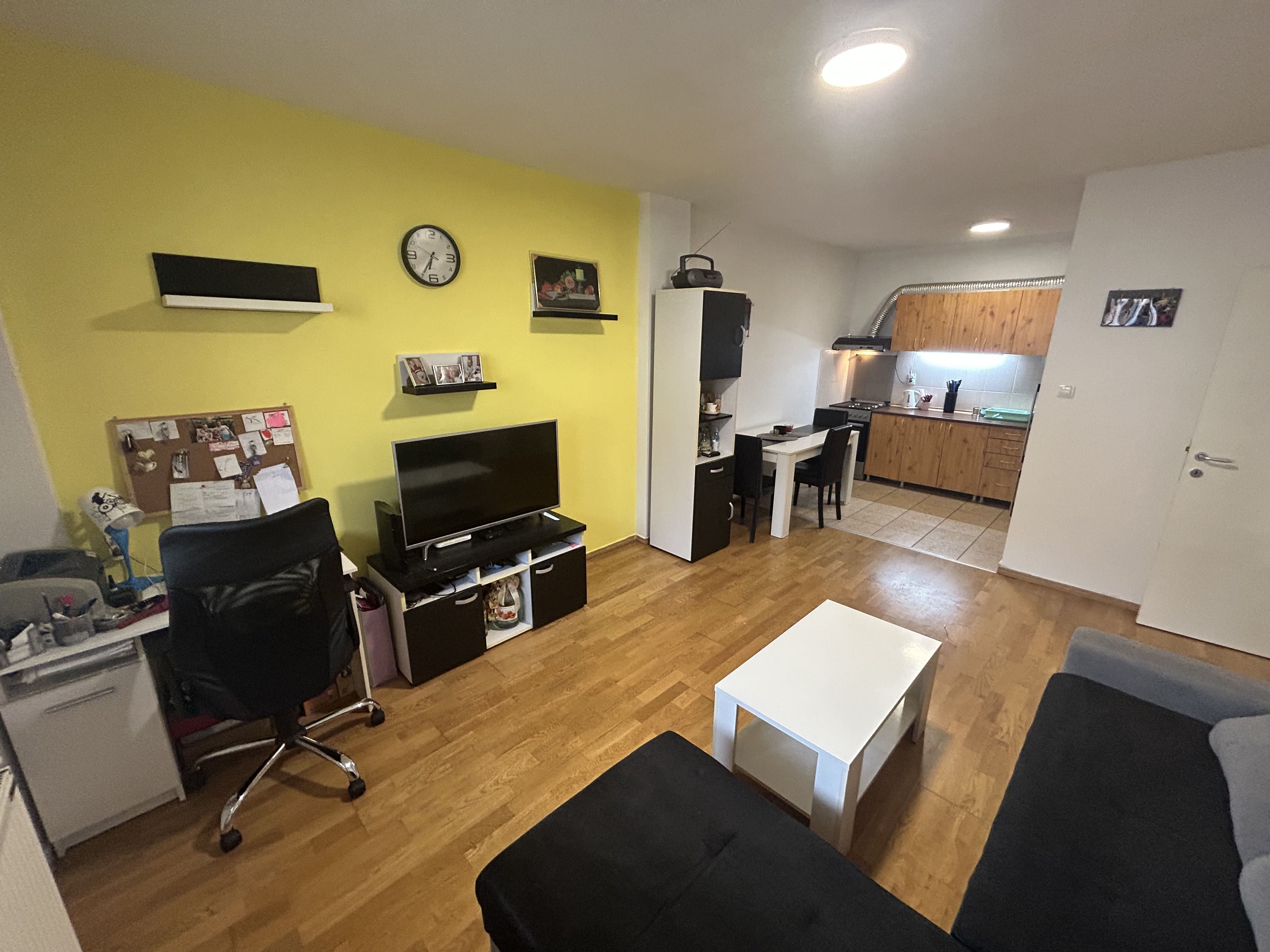 Dvosoban stan Nova detelinara vlasnik 2