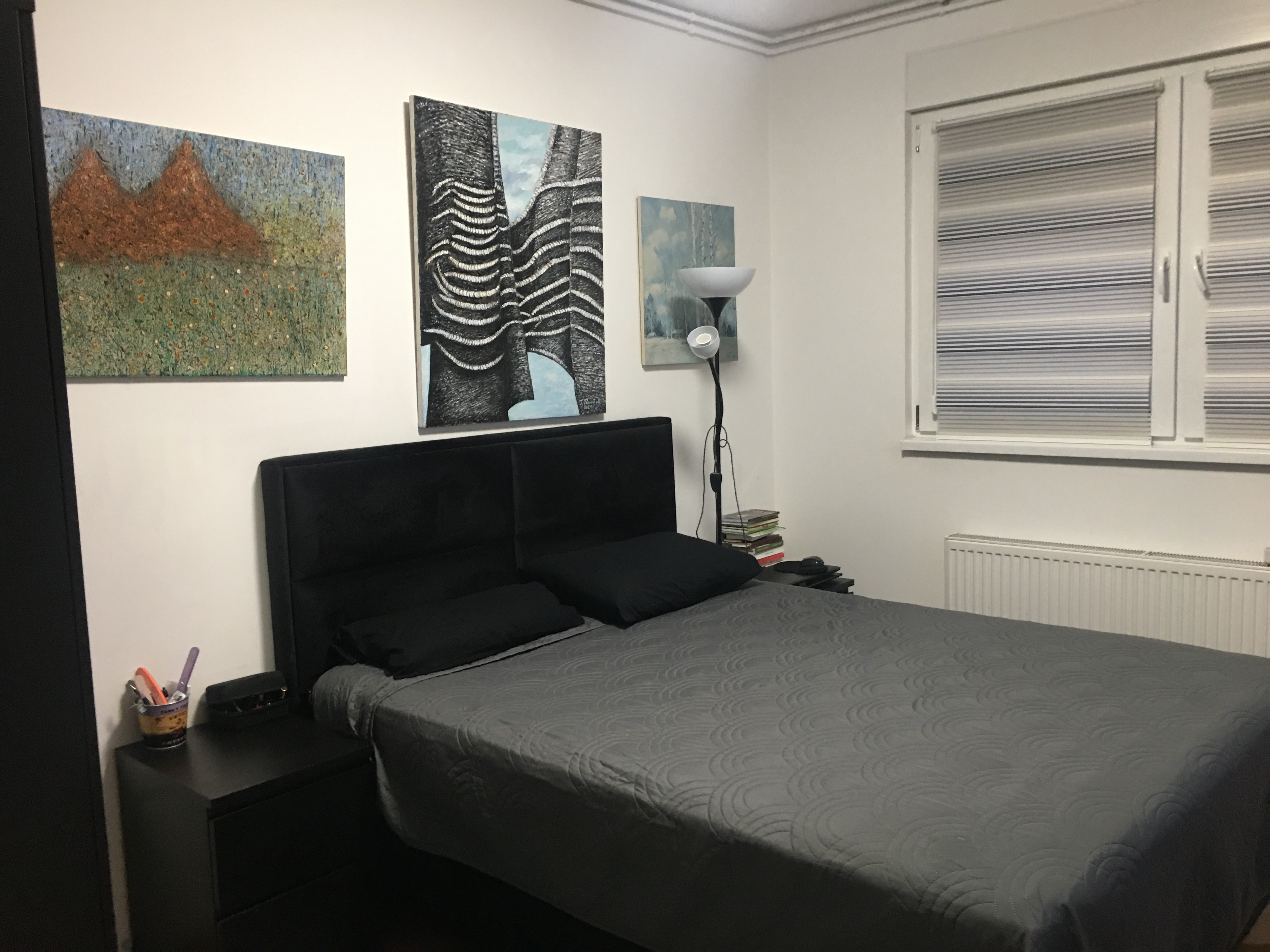 TROSOBAN STAN U CENTRU ARANĐELOVCA SA DVE TERASE 3