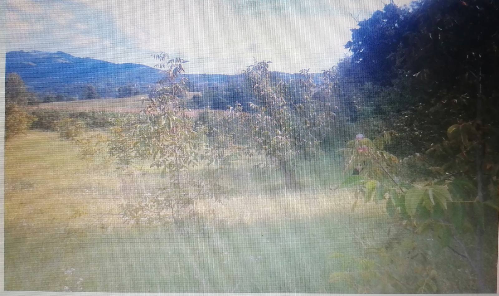 Plac u Belanovici kod Ljiga 3