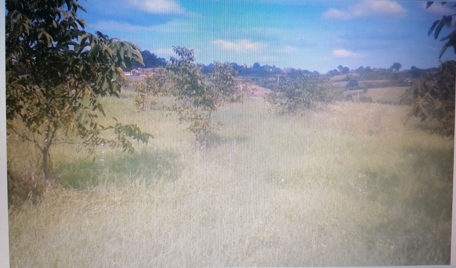 Plac u Belanovici kod Ljiga 4