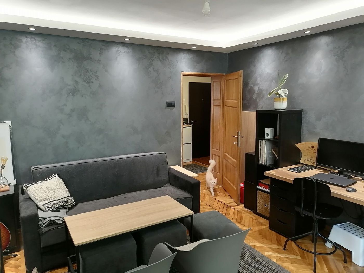 Kompletno renoviran  uknjižen dvosoban stan idealnog rasporeda 062 792 583 2