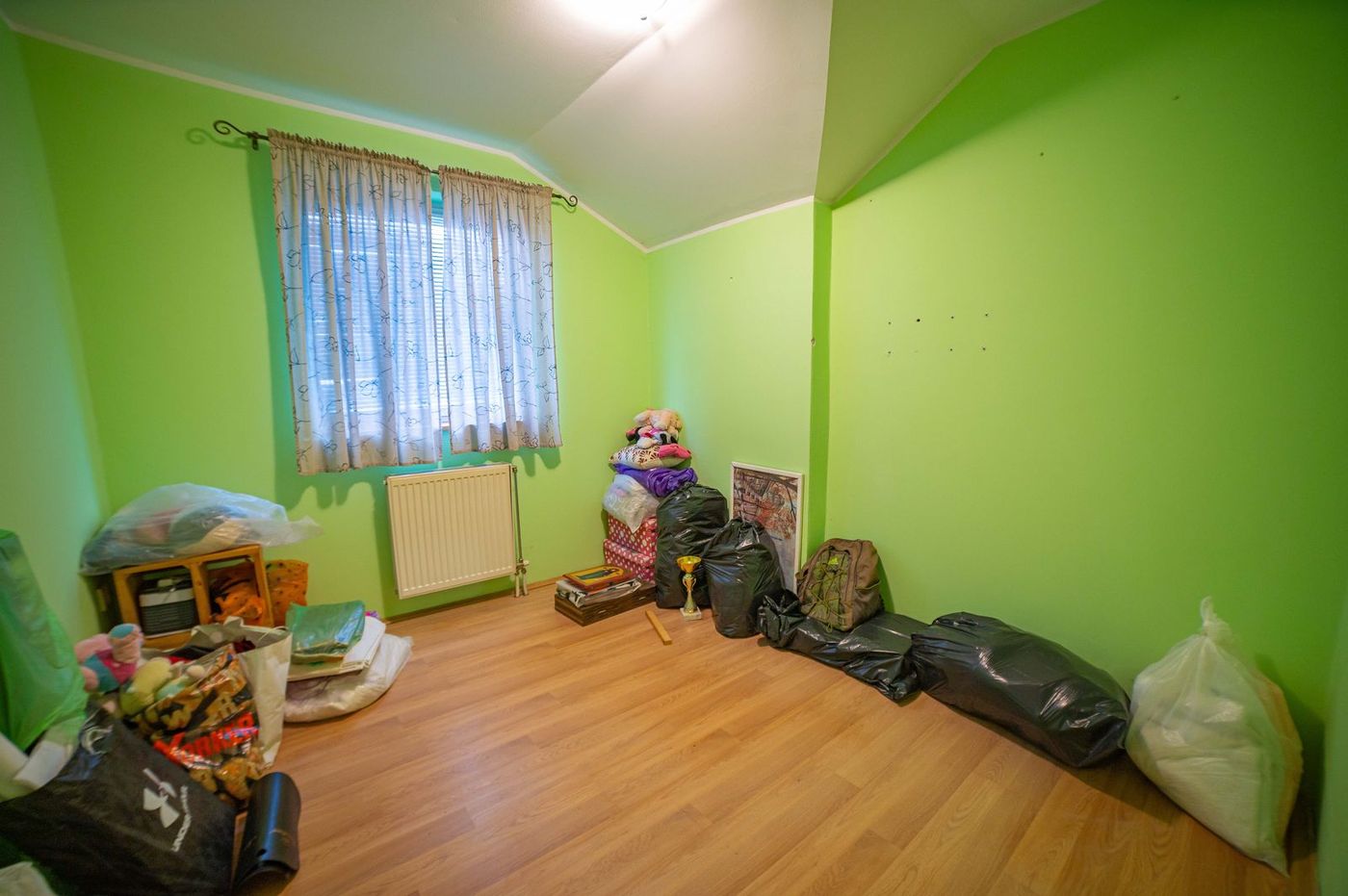 Fantastična kuća u Veterniku   3