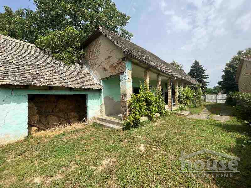 Kuca,ZMAJEVO,ZMAJEVO224m2,36000€ , ID: 3045830 10