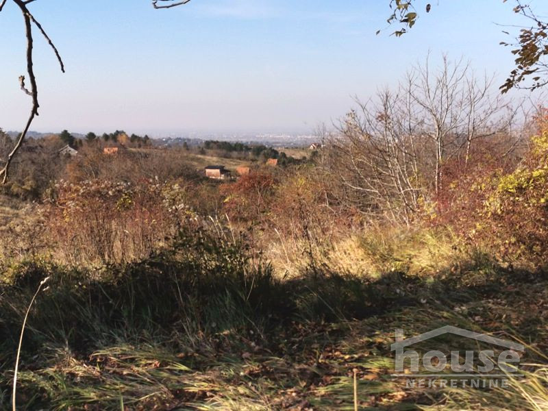 Plac,PETROVARADIN,ALIBEGOVAC13400m2,  276000€ , ID: 7080795 8