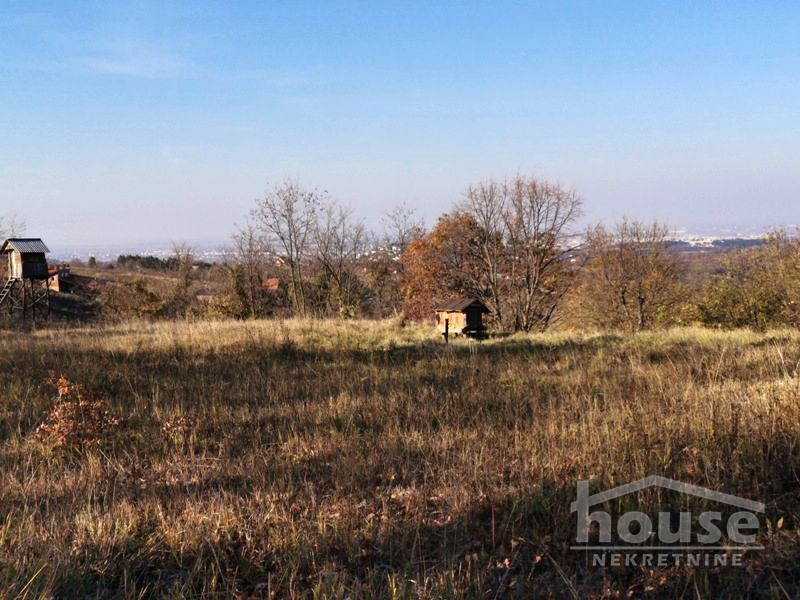 Plac,PETROVARADIN,ALIBEGOVAC13400m2,  276000€ , ID: 7080795 9